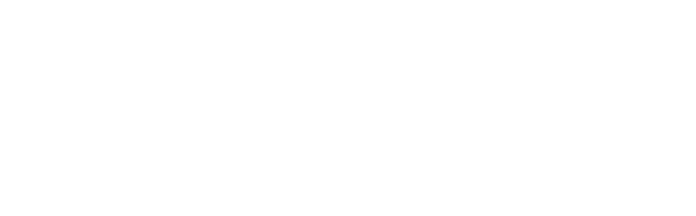 type-z